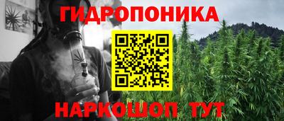 шишки Краснодар