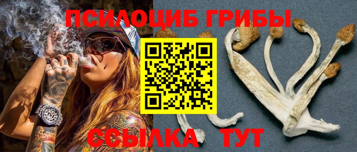 Галлюциногенные грибы Psilocybine cubensis  Вход с VPN  Заводоуковск  Галлюциногенные грибы MAGIC MUSHROOMS 